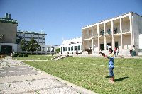 Exhibicin de aves rapaces en Rabanales dentro de un proyecto para controlar la poblacin de palomas.